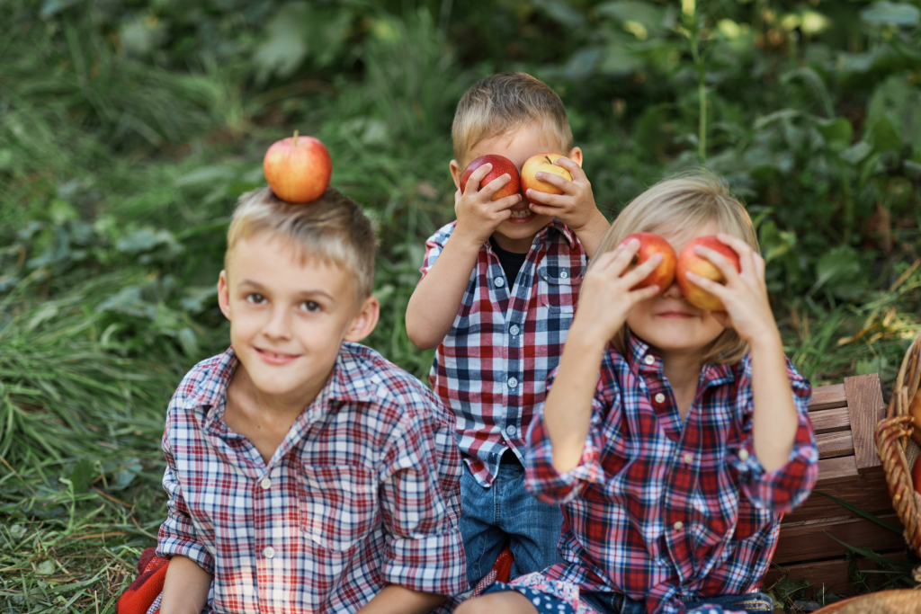 Apple Orchard Field Trips 1